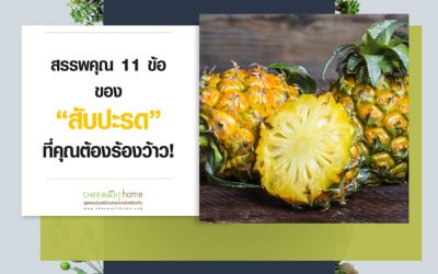 สับปะรด ประโยชน์ 11 อย่างที่คุณต้องร้อง ว้าว!!!